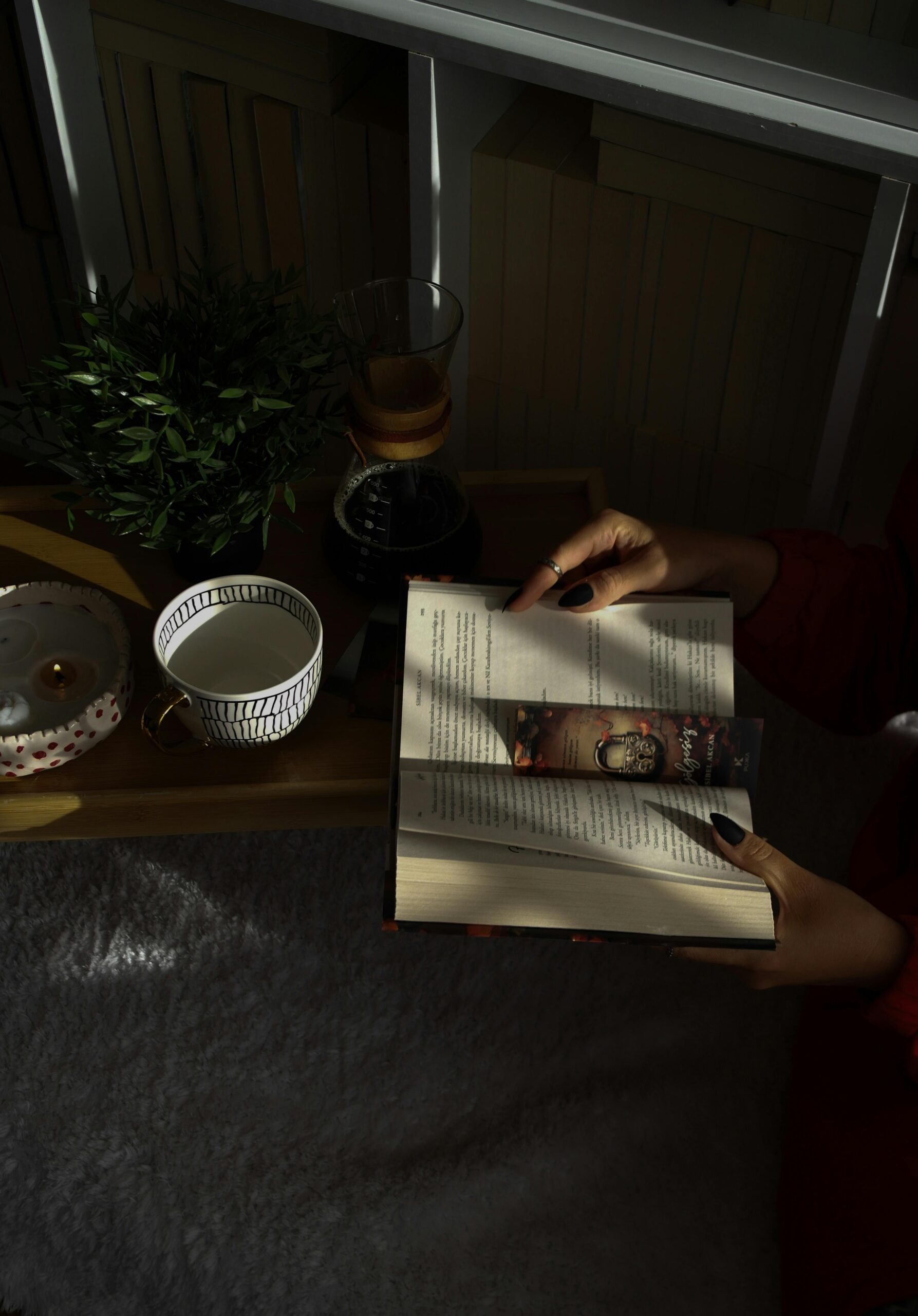 お茶と本でゆるふわに過ごす連休最後の夜の風景